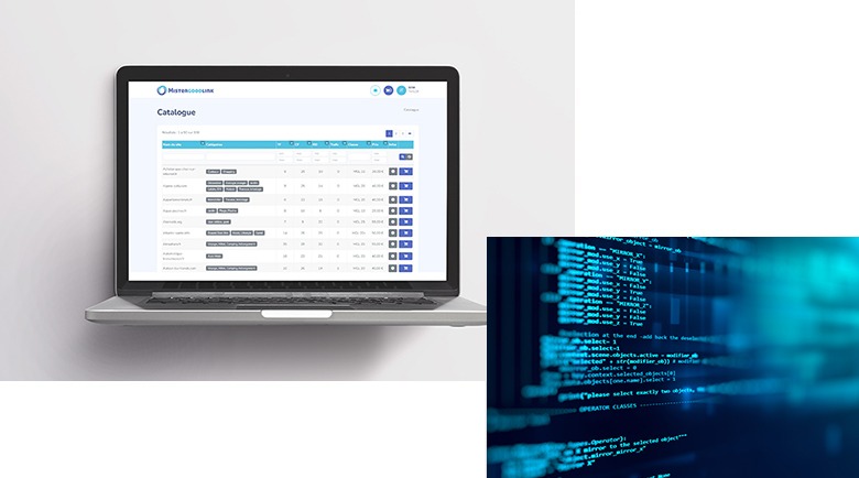 Catalogue de spots et métriques SEO MisterGoodLink